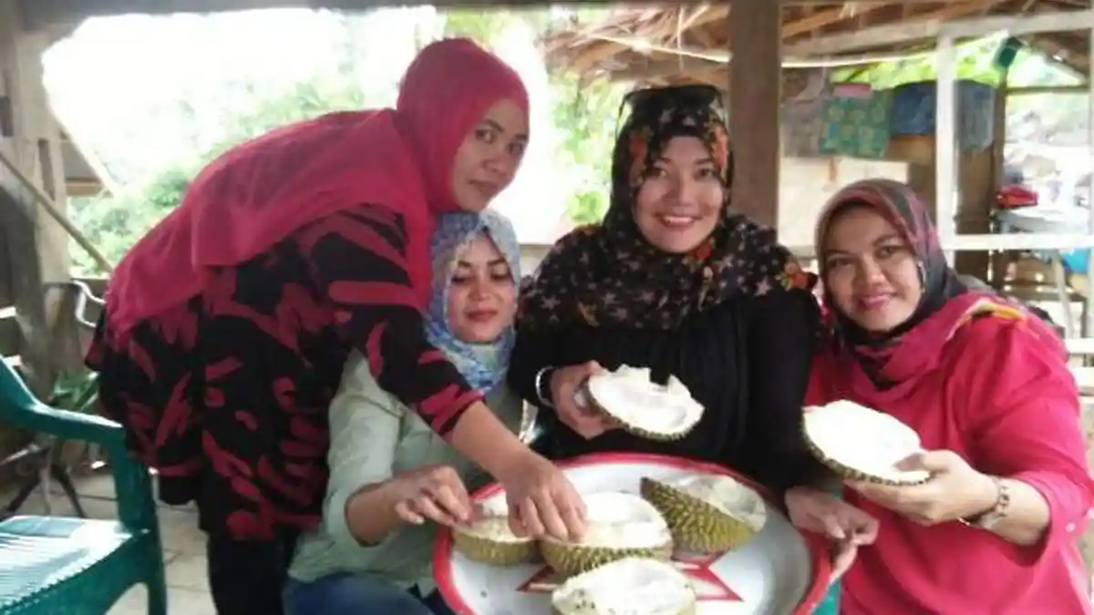 Anda Mau Makan Durian SegarSepuasanya Kunjungilah Balangpesoang Sinjai