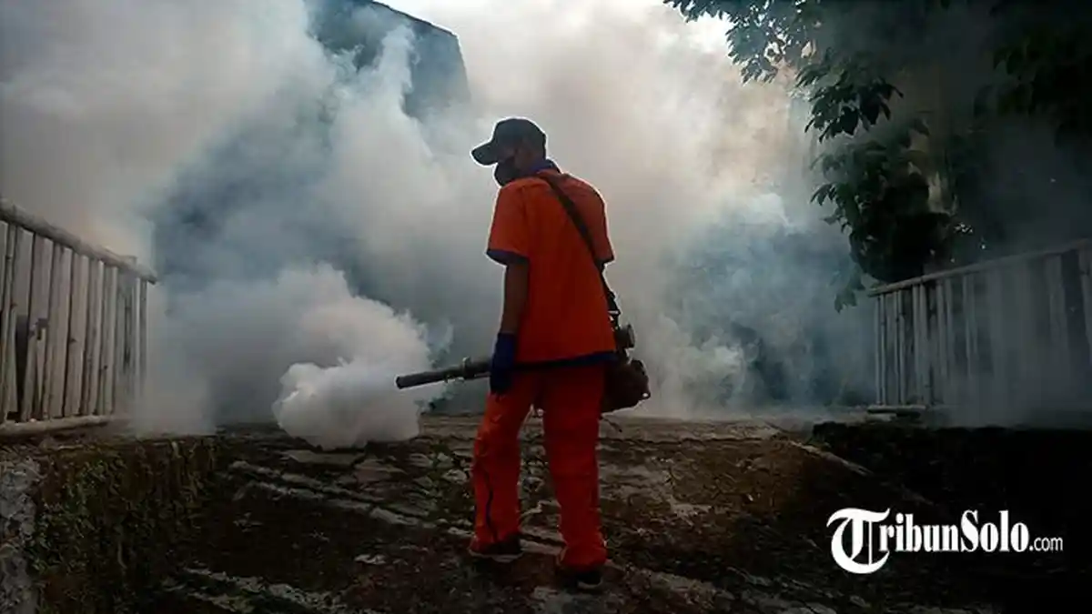 Waspada Chikungunya! Ada 69 Kasus, Warga Wonogiri Yuk Lakukan 3M Plus