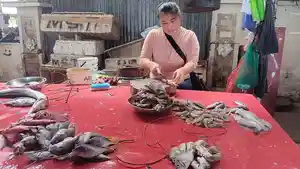 harga-ikan-naik-di-TPI-karena-cuaca-buruk.jpg