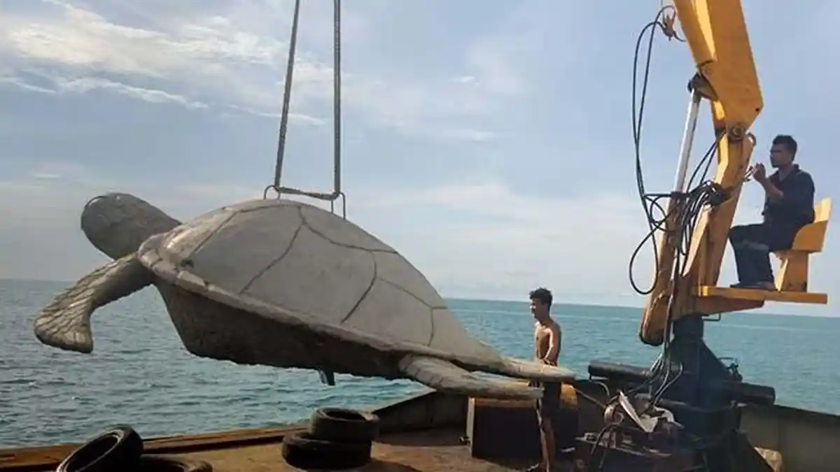 Penyu Raksasa Ikon Wisata Pantai Jerangkat Jebus Bangka Barat, Danramil Target Wisata Bawah Air