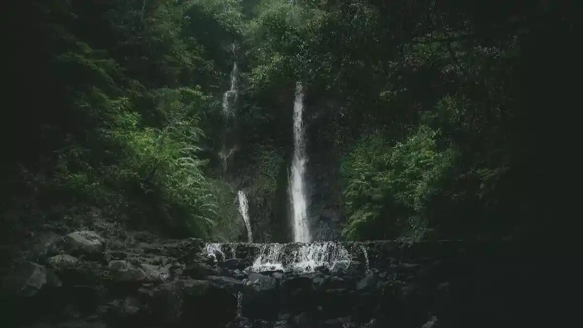 Deretan 10 Curug di Bogor yang Suguhkan Keindahan Alami, Tempat Wisata Terbaik untuk Refreshing