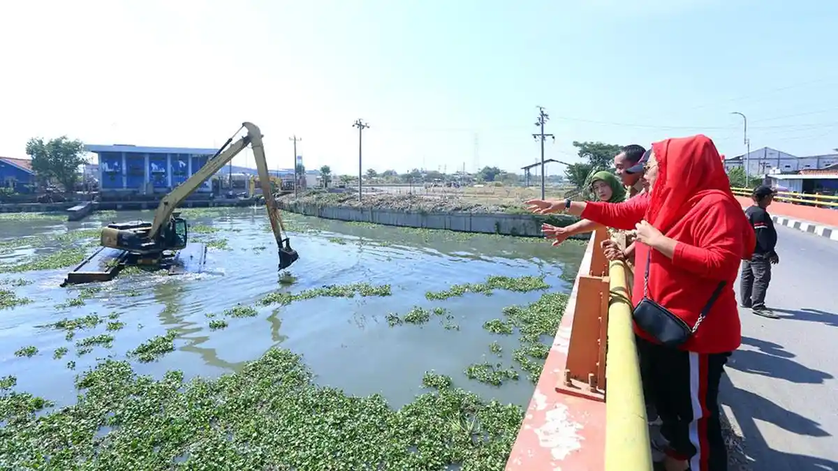 Wali Kota Semarang Kecewa Pembersihan Eceng Gondok di Sungai Kurang Optimal