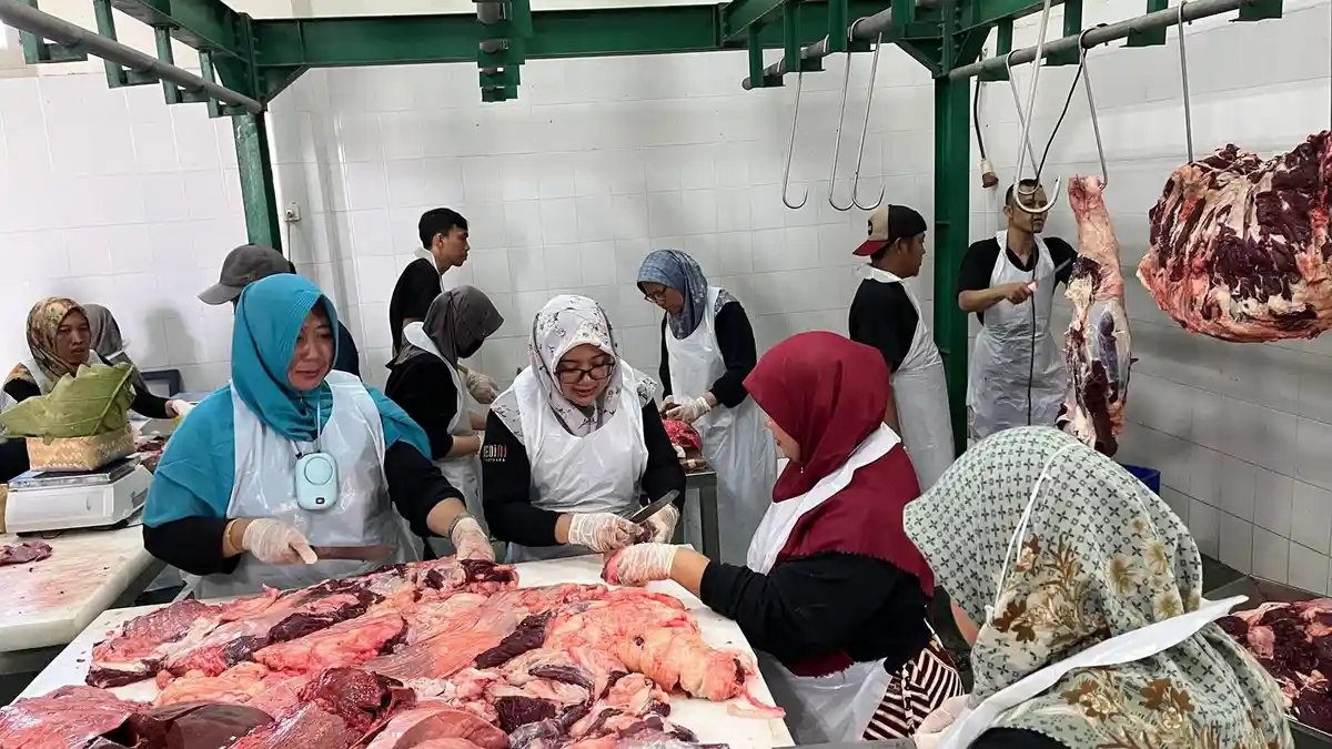 Dokter Hewan Dikerahkan DKPP Kediri Awasi Daging Kurban untuk Waspadai Cacing Hati