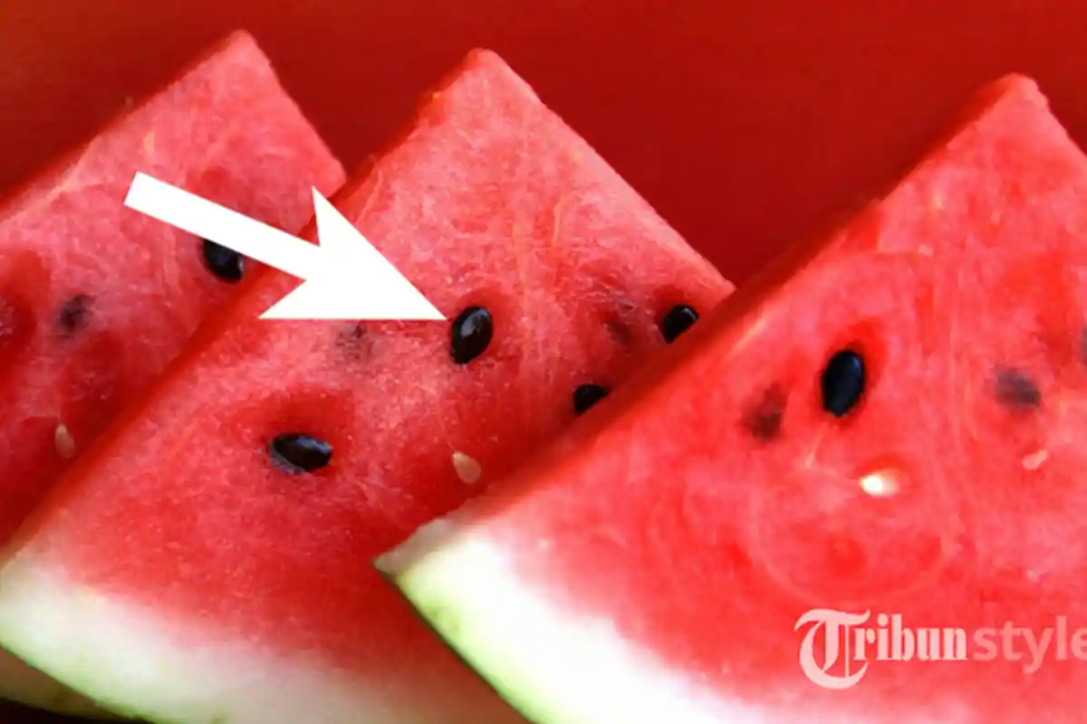 5 Biji Buah yang Biasa Dibuang, Tapi Justru Punya Manfaat Bagi Kesehatan, Termasuk Biji Semangka