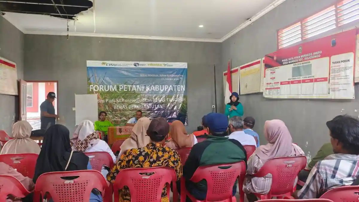 Petani Boyolali Antusias Ikuti Sekolah Lapang dan Demoplot SRP Program Beras Tangguh