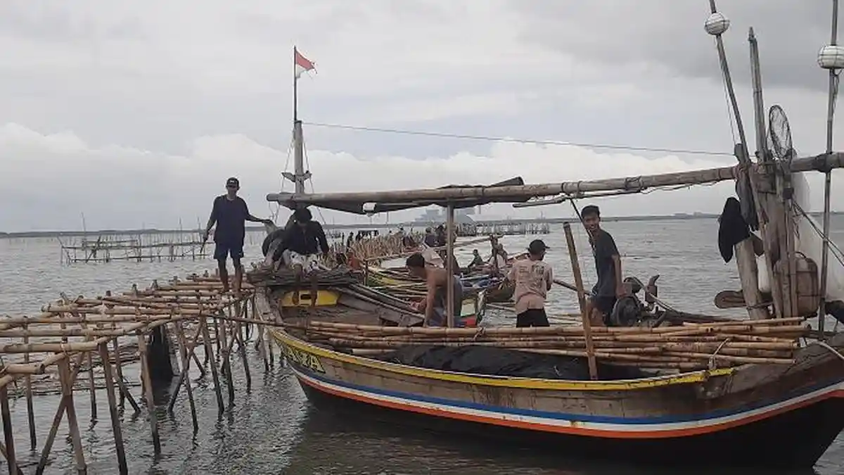 Pagar Laut di Tangerang Dibongkar, Nelayan Bahagia Setelah Disandera Berbulan-bulan oleh Pagar Bambu