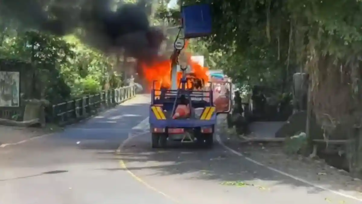 Pangkas Pohon Beringin, Truk Dishub Gianyar Bali Terbakar, Arthawan: Areal Itu Dikenal Angker