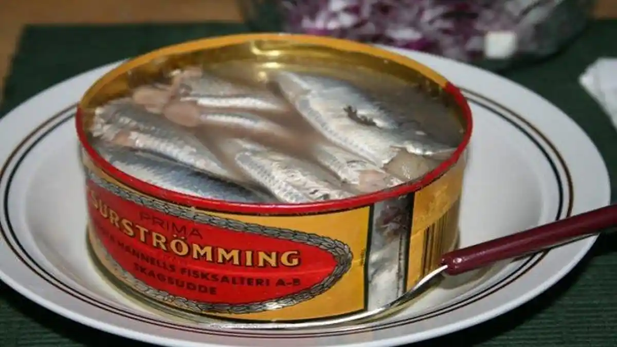 SURSTROMMING, Ikan Kaleng Berbau Busuk yang jadi Kuliner Lezat di Swedia