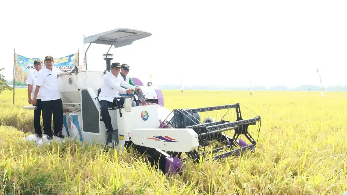 Hasil Panen Padi Melimpah, Bupati Lamongan Harap Petani Taman Padi Hibirida