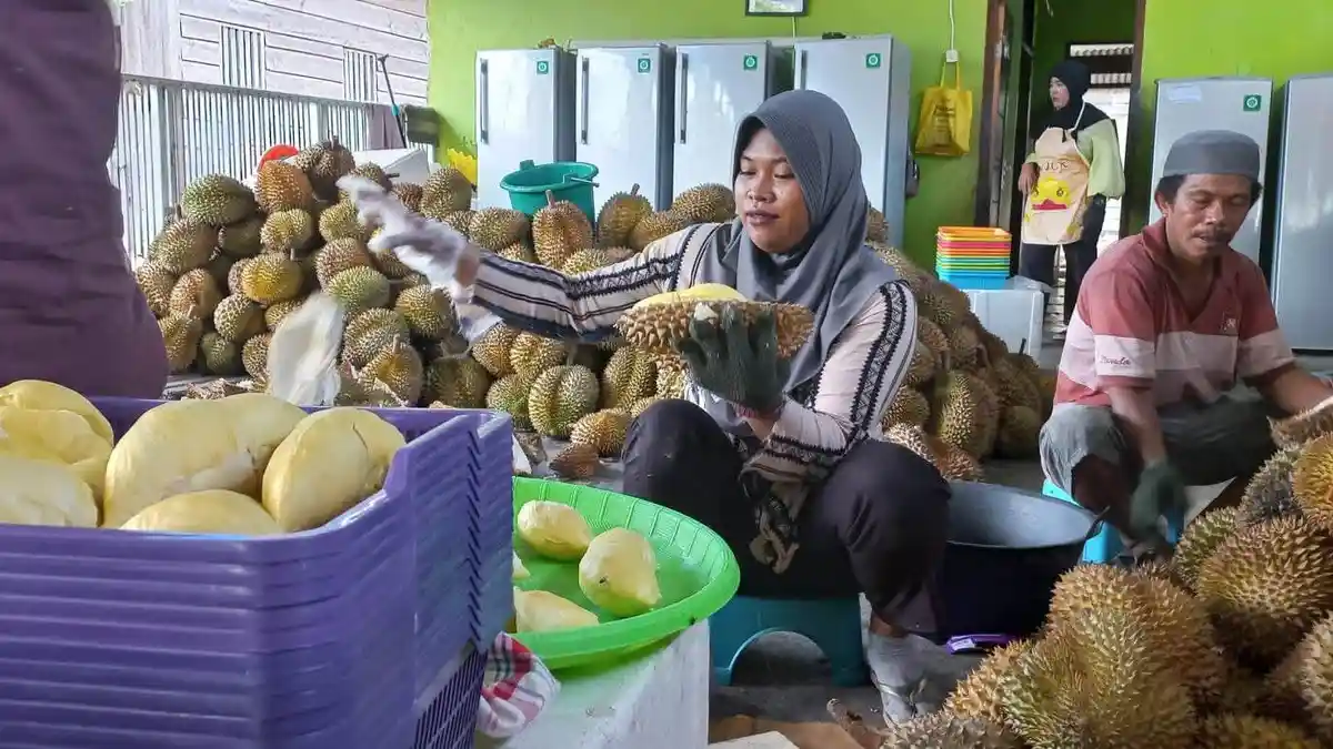 DPRD Parigi Moutong Minta Perusahaan Packing House Durian Lengkapi Izin Sebelum Beroperasi