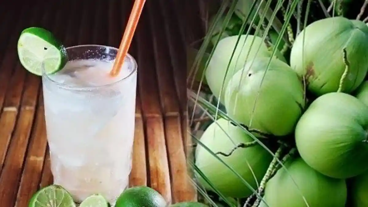 5 Ide Minuman Segar untuk Buka Puasa bersama Keluarga, Cocok Juga Dijadikan Sebagai Usaha