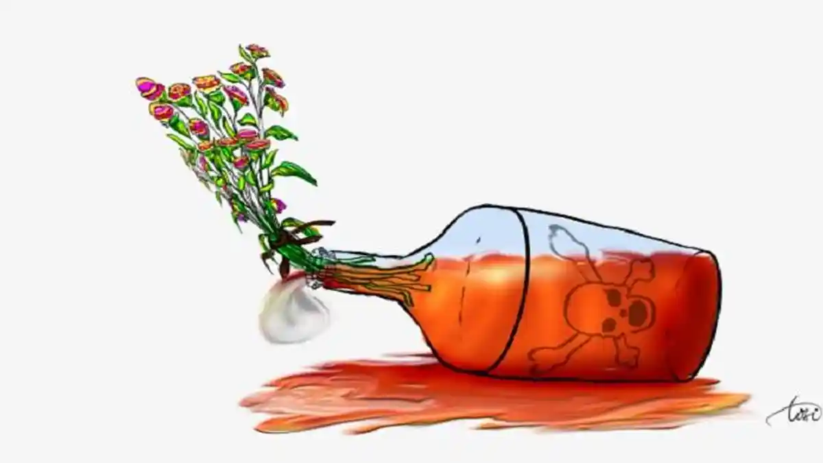 Viral Anggota Paskibraka Medan Diduga Pamer Miras setelah Melaksanakan Tugas, Ini Kata Kesbangpol