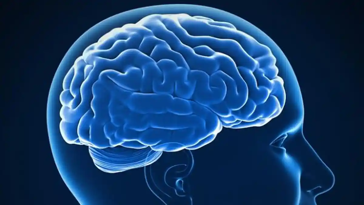 Mengenal Penyakit Meningitis: Ada Beberapa Penyebab dan Gejala yang Umumnya Terjadi