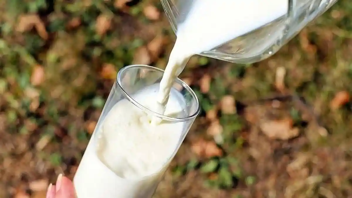 Menu Diet Susu Selama 1 Bulan untuk Turunkan BB, Perut Tetap Kenyang, Lihat Porsi Makan Hariannya 