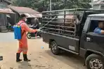 petugas-disbunnak-dan-keswan-aceh-utara-menyemprot-desinfektan.jpg