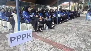 PPPK-100X.jpg