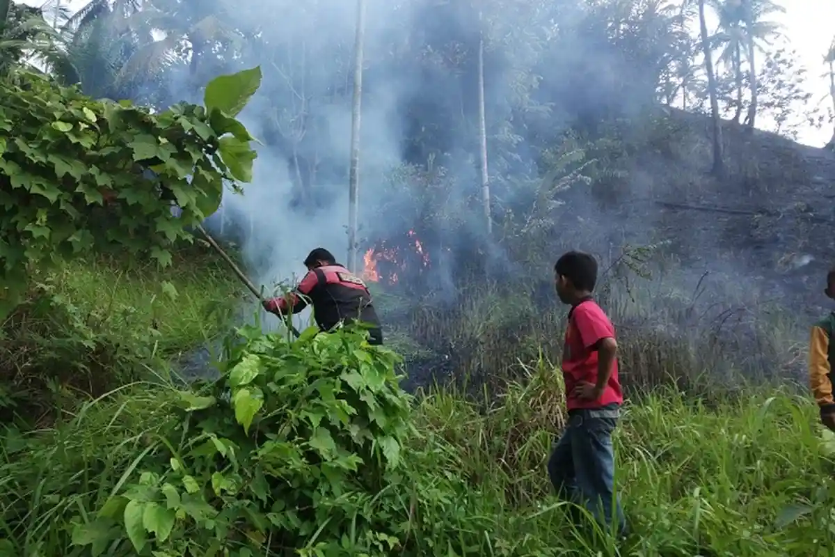 Kebakaran Lahan Kembali Terjadi di Lhokseumawe, Hari Ini Api Berkobar di Tiga Titik