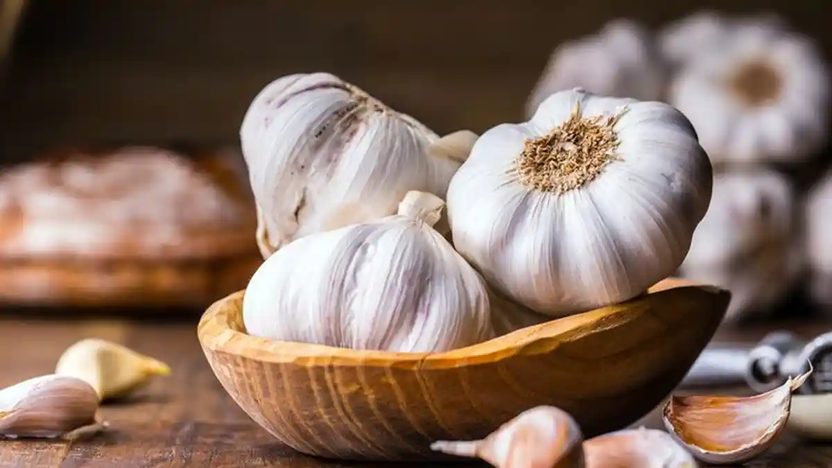 Obat Tradisional Kolesterol Paling Mujarab ! Coba Rempah-rempah Ini, Tapi Tetap Konsultasi Dokter Ya