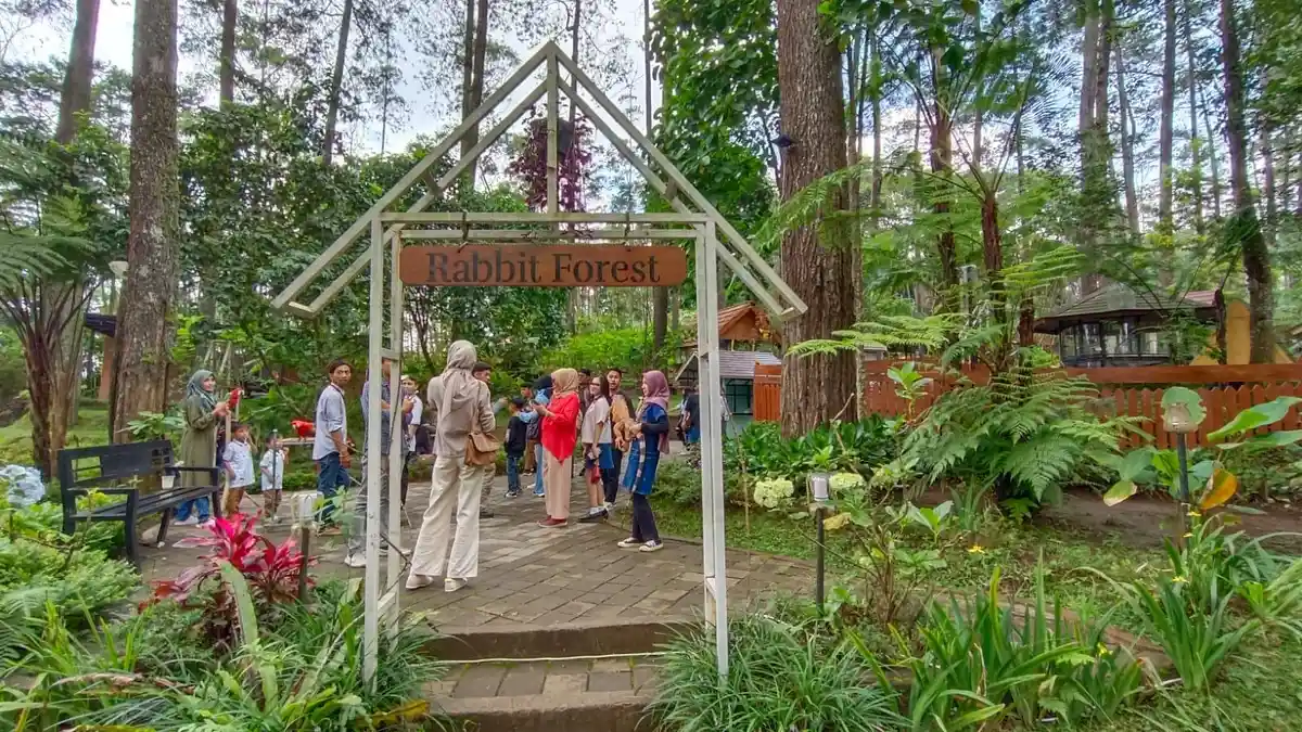 Long Weekend, Yuk Ajak Anak Liburan ke Rabbit Forest, Bisa Beri Makan Binatang Hingga Foto Bersama