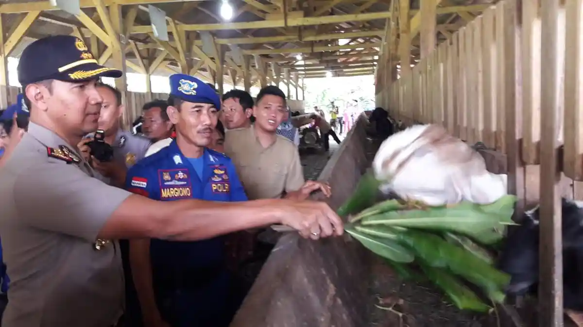 Budidaya Kambing Etawa, Bripka Margiono Diapresiasi Kapolres Ciamis