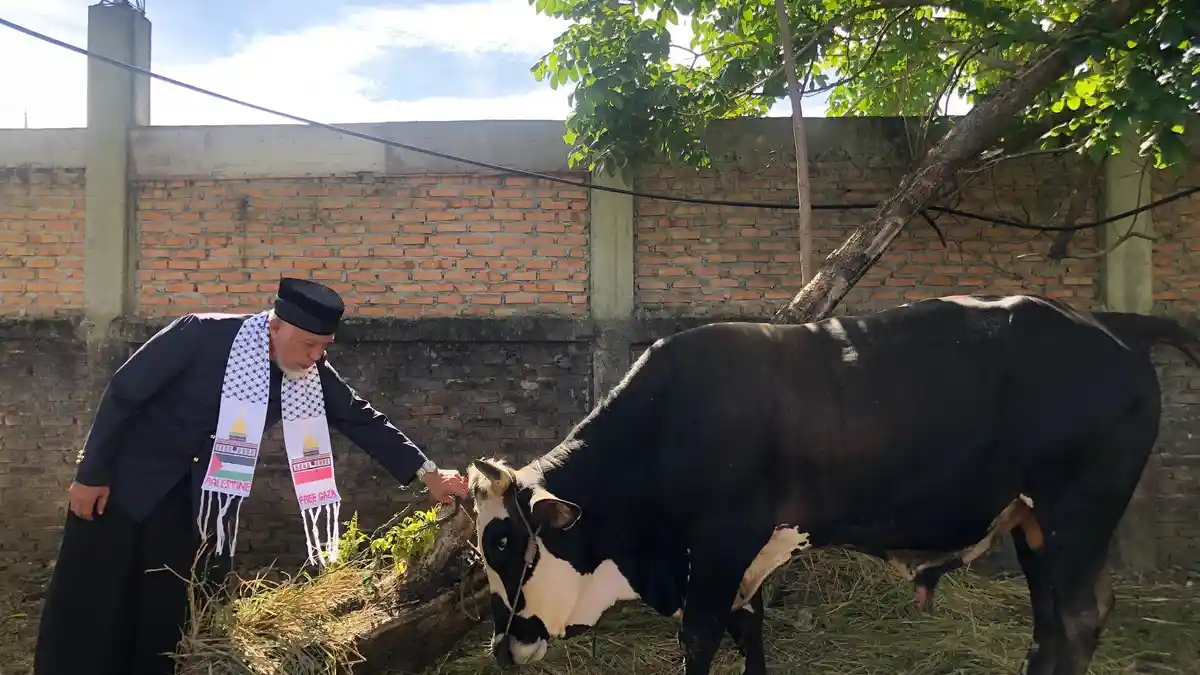 POPULER PADANG: Kebutuhan Sapi Masih Bergantung Provinsi Tetangga dan Hikmah Kurban Teladani Ibrahim