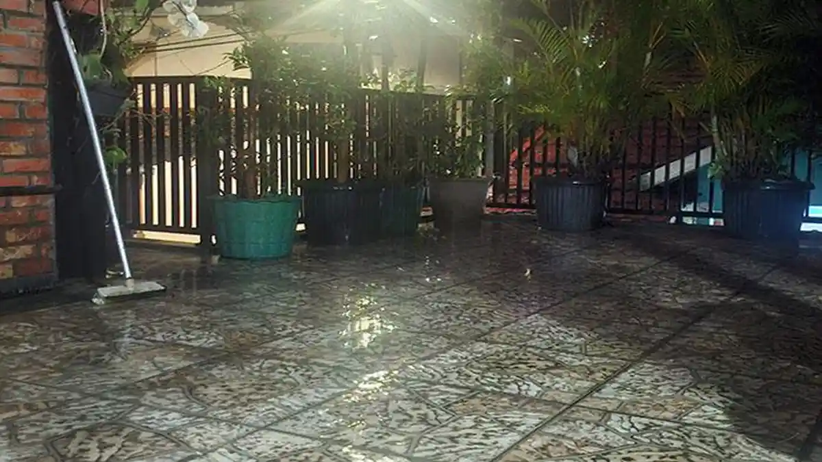 Update Cuaca, Bogor Diguyur Hujan Malam Ini, Waspada Angin Kencang, Bendung Katulampa Normal