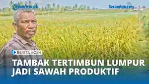 Sawah-299918881993.jpg