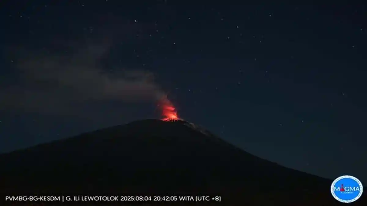 Gunung Lewotolok NTT 70 Kali Gempa Erupsi 90 Kali Gempa Hembusan 