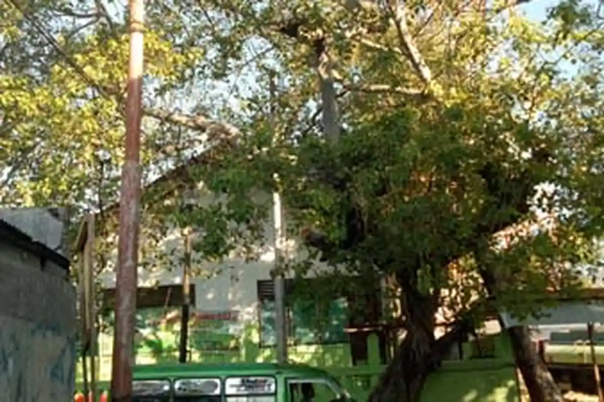 Warga RT 005 Bonipoi Keluhkan Lampu Jalan