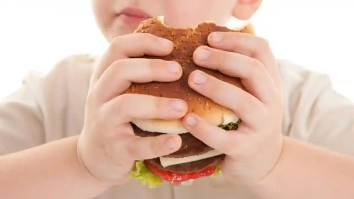 Sumber Penyakit itu Junk Food, Bukan Tembakau?