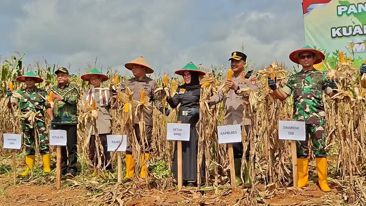 DPRD Tala Apresiasi Panen Raya Jagung Polda Kalsel, Dorong Penguatan Ketahanan Pangan Daerah