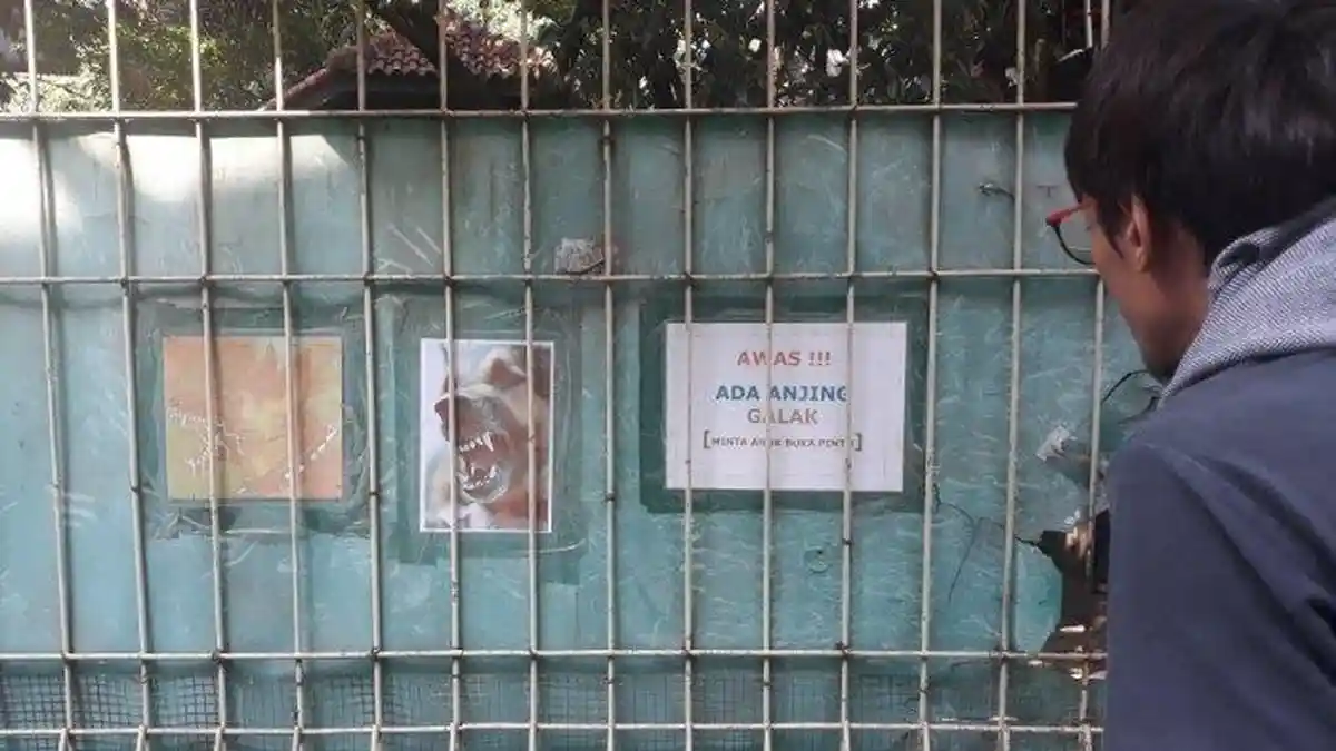 ART Tewas Diserang Anjing Malinois Belgian Majikannya, Benarkah Milik Presenter Petualangan?