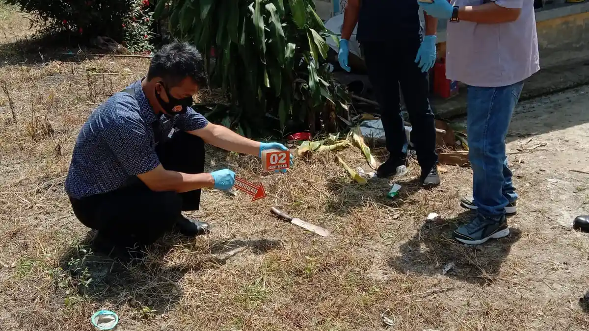 Kepolisian Masih Lakukan Penyelidikan Kasus Pembunuhan di Desa Pardomuan Nauli