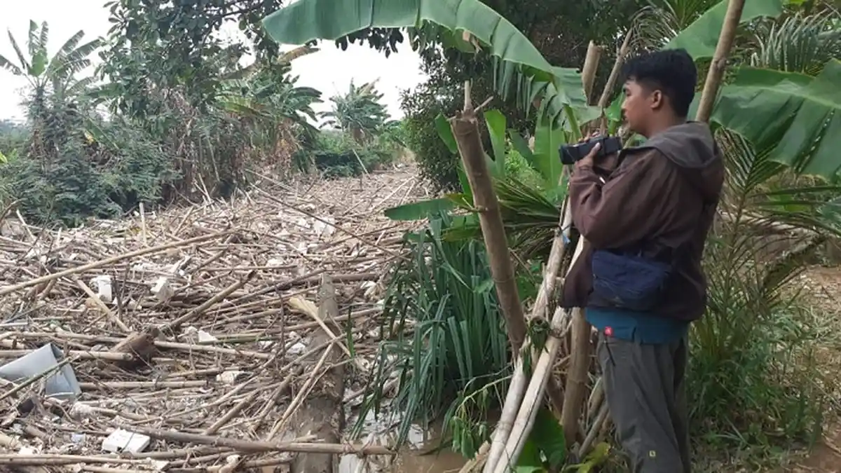 Petugas Gabungan Bakal Dikerahkan Bersihkan Tumpukan Sampah Bambu di Bendung Koja