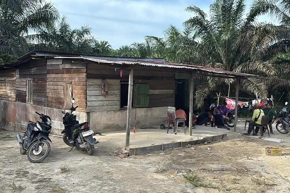 Suara Gajah Terdengar Sedih Seusai Amuk Bocah Citra di Kebun Sawit Pekanbaru