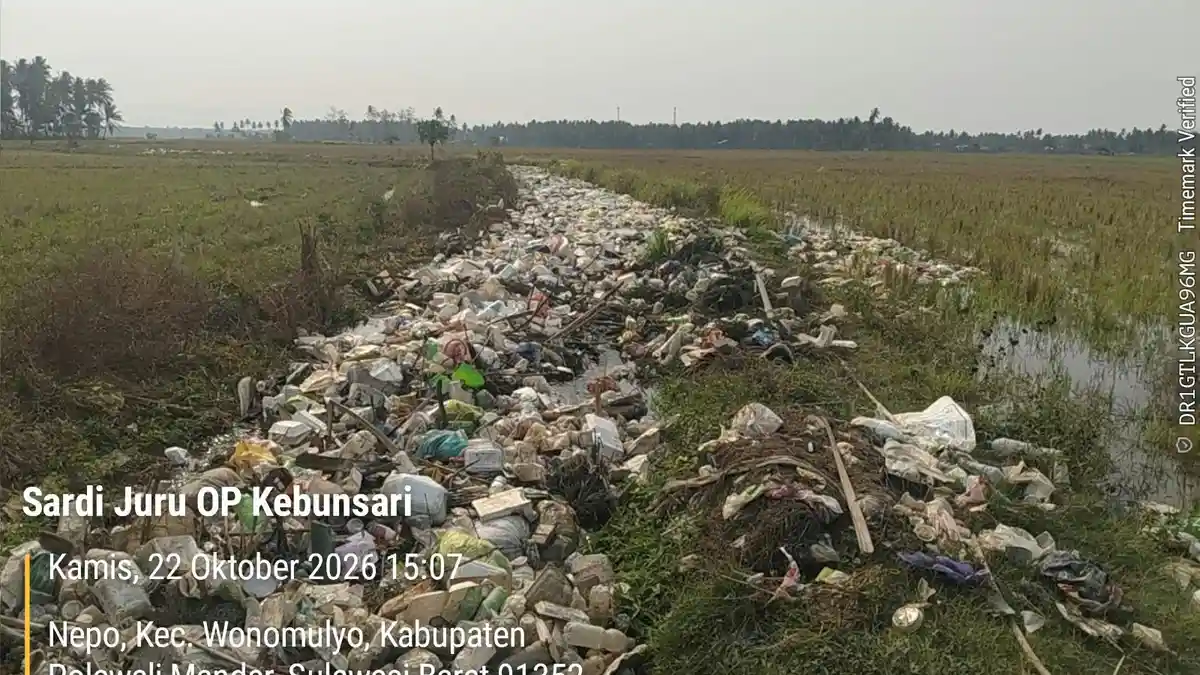 Sampah Kiriman dari Pasar Banjiri Persawahan Warga Kebunsari Polman