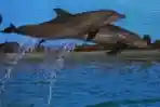 Wisata Ocean Samudra di Taman Impian Jaya Ancol