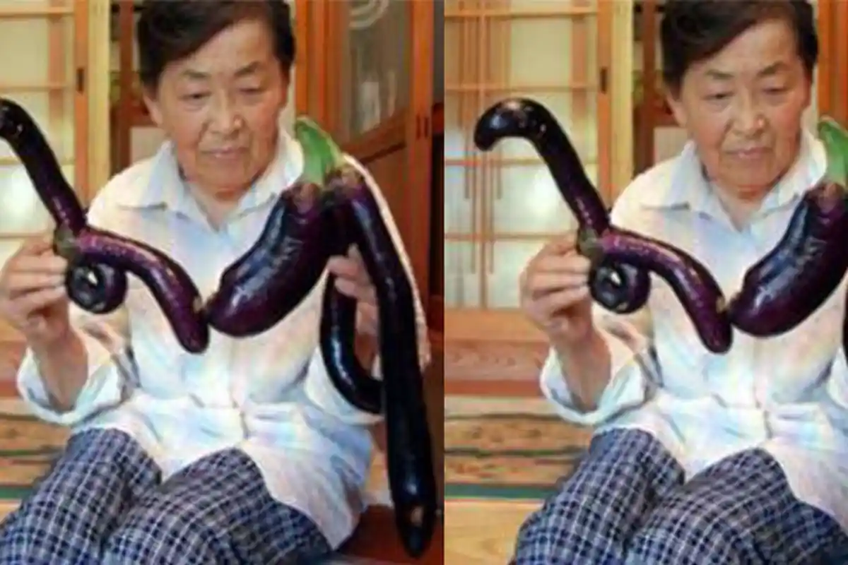 Terong Aneh, Bentuknya Tak Lazim, Panjang Seperti Dinosaurus, Pernah Hebohkan Warga Jepang