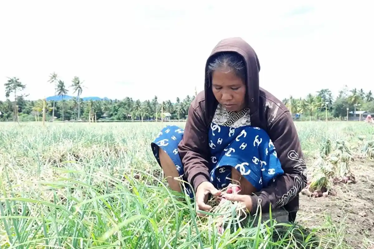 Sejarah 24 September Diperingati Sebagai Hari Tani Nasional, Sejak Zaman Presiden Soekarno