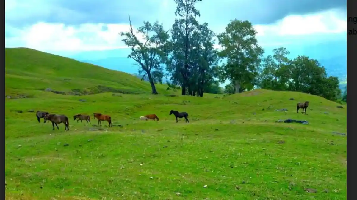 Batu Basusun dan Bukit Teletabis, Pesona Wisata Alam Lelogama yang Curi Perhatian
