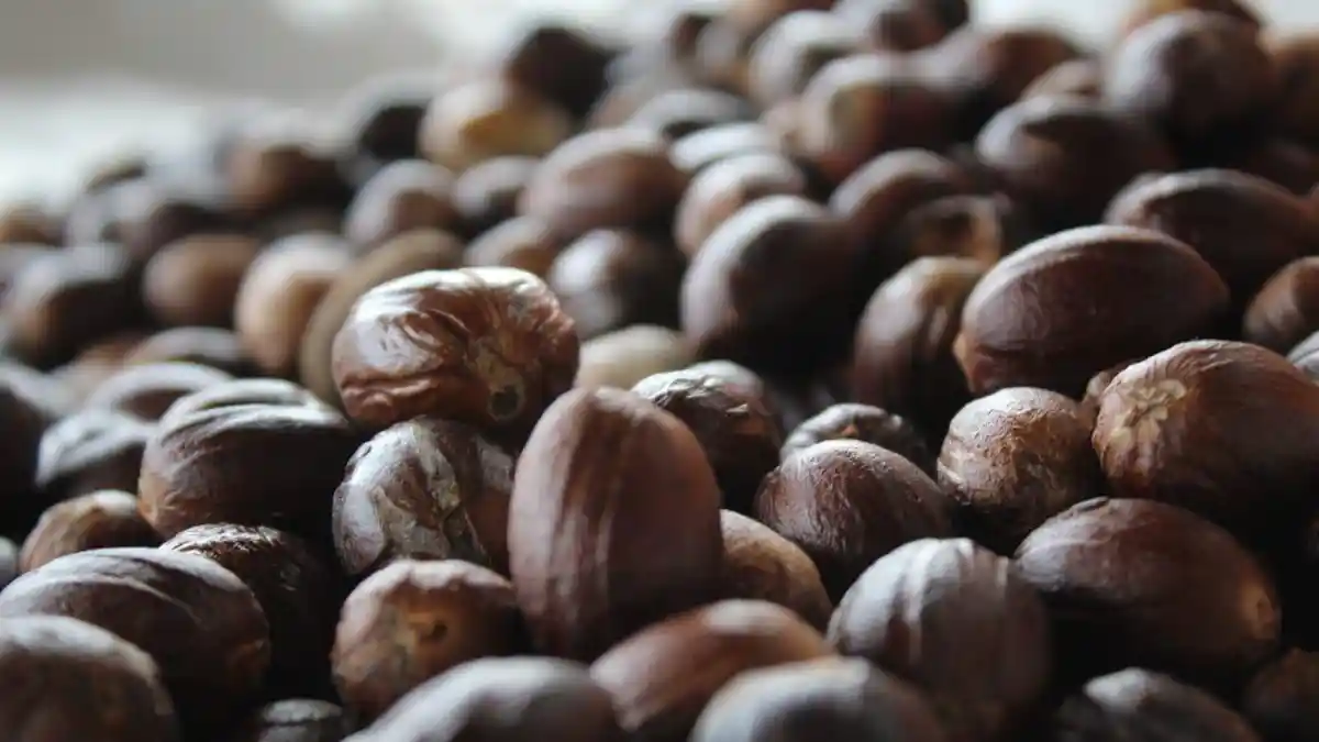 Hingga Bulan September 2022, Harga Rempah Ternate Masih Stabil