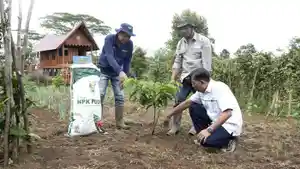 Kopi-Tebat-Benawa-Pusri-Tumbuhkan-Harapan-Petani-di-Pagar-Alam.jpg