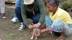 Proses-vaksinasi-rabies-bagi-hewan-peliharaan-warga-di-Kelurahan-Naioni.jpg