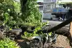 Terlihat-batang-pohon-besar-yang-tumbang-menimpa-beberapa-sepeda-motor.jpg