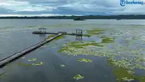202405_pj-bupati-maybrat-rapat-bersama-balai-sungai-bahas-danau-ayamaru.jpg