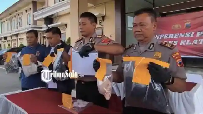 Tribun