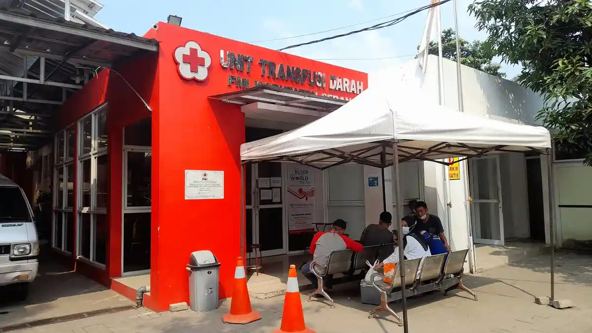 Stok Plasma Konvalesen di PMI Kabupaten Serang 43 Kantong