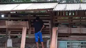 Nurzaman-seorang-peternak-kambing.jpg