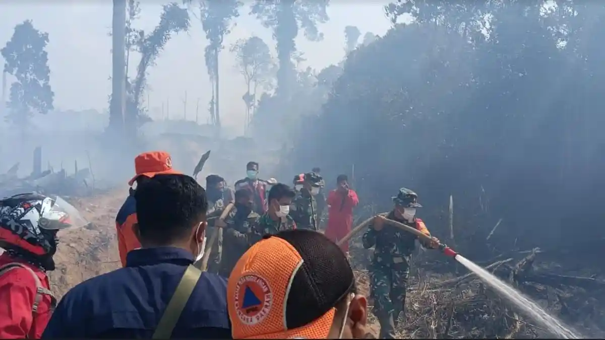 Plh Dansatgas Sebut Titik Api di Jambi Nihil Berkat Operasi Modifikasi Cuaca