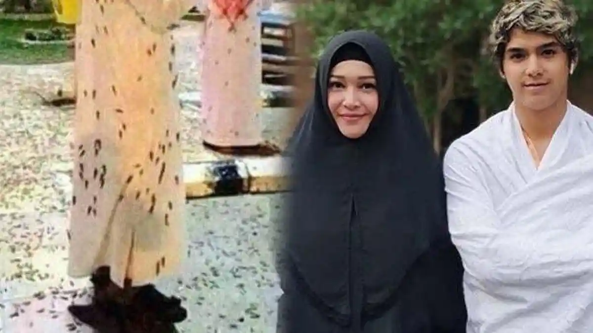 Ramai Fenomena Serangga Hitam di Mekkah, Maia Estianty Beri Pengakuan Ini